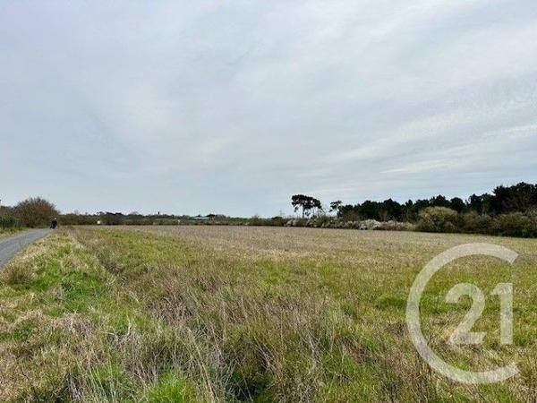 Terrain à vendre  551 m2 GIVRAND - 85