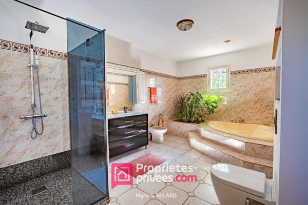 Maison Fonsorbes - 8 pièce(s) - 300 m2