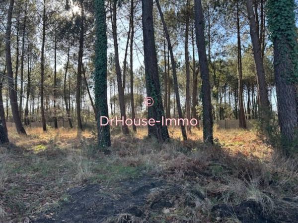 Terrain à vendre de 950 m²