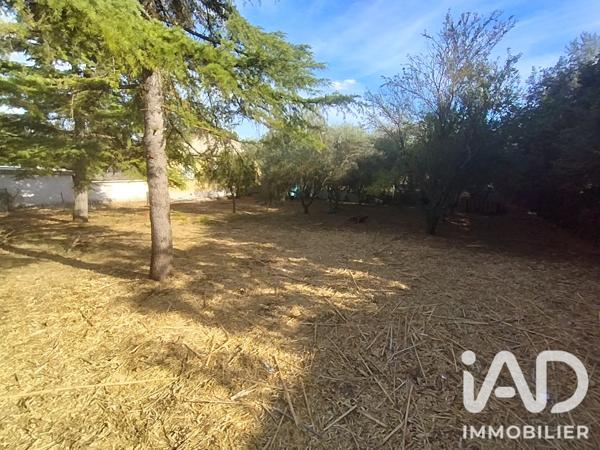 Terrain à vendre 590 m² Sorgues
