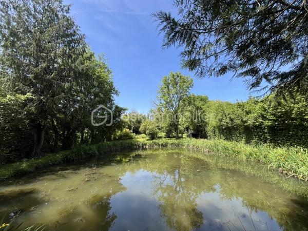 PETIT COIN DE PARADIS A VENDRE EN EXCLUSIVITE    !!!  

Sur la commune de Pruillé L'éguillé à moins de 1km du village et à 5 kms du Grand Lucé

Magnifique Terrain de loisirs de 1500 m2 environ avec petit étang de 13*20 m.

Un véritable havre de paix ideal pour des week ends détente, des grandes reunions de familles ou de belles fiestas.

Eau de la ville avec compteur
Portail d'accès
Cabanon
Abris de 30m2 avec 2 caravanes ( 8 couchages en tout)
Toilette sèche