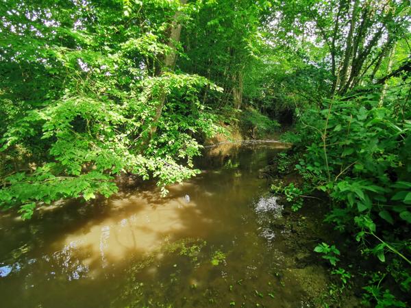 Moulin à vendre avec cours d'eau en Bretagne