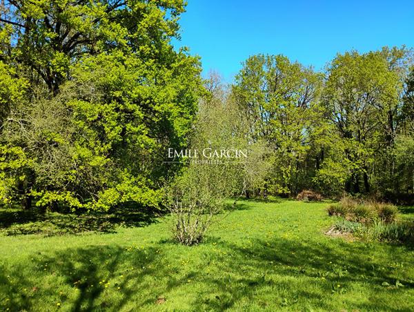 A VENDRE- Pourrain-Toucy - Bourgogne - Longère familiale 5ch et dépendance et 6700 m2  de jardin et bois