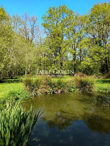 A VENDRE- Pourrain-Toucy - Bourgogne - Longère familiale 5ch et dépendance et 6700 m2  de jardin et bois