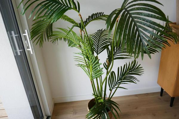 MÉRIGNAC  ST AUGUSTIN  APPARTEMENT DEUX PIECES AVEC JARDIN ET TERRASSE