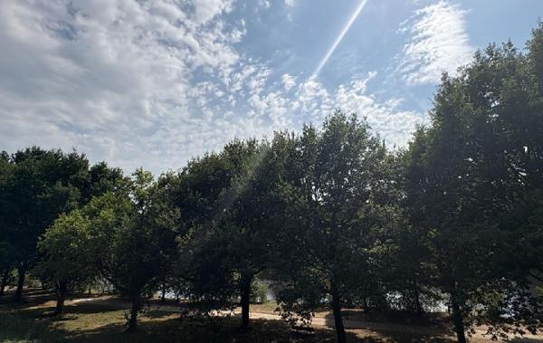 Vente Maison Aixe-sur-vienne   