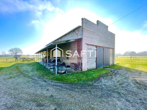 Maison 7 pièces 186m² avec garage