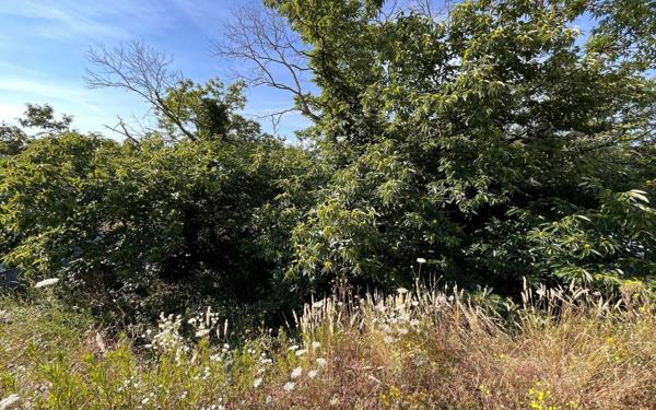 Terrain à vendre    Joyeuse