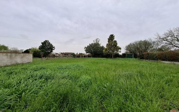 Immeuble à vendre    2 pièces •  Grisolles