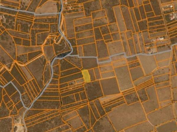 Vente / Terrain agricole