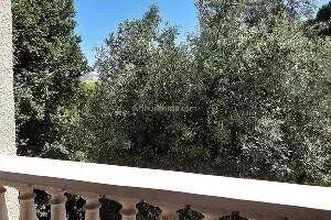 Location                                                      Appartement
                        
                     1 pièces                      25 m2                     à Nice