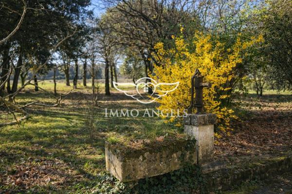 Propriété d’exception en Provence