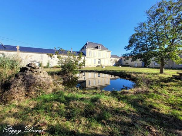 Propriété à vendre 14 pièces SAINT JEAN D'ANGELY (17) - Ancien domaine viticole, Bâti de 940 m2, Maison de maître, Dépendances.