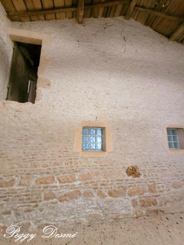 Propriété à vendre 14 pièces SAINT JEAN D'ANGELY (17) - Ancien domaine viticole, Bâti de 940 m2, Maison de maître, Dépendances.