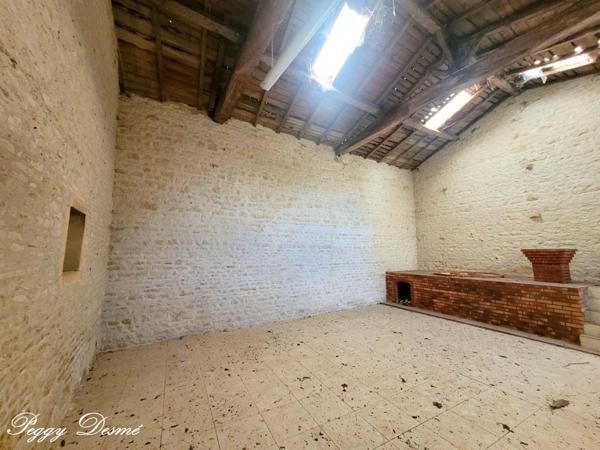 Propriété à vendre 14 pièces SAINT JEAN D'ANGELY (17) - Ancien domaine viticole, Bâti de 940 m2, Maison de maître, Dépendances.