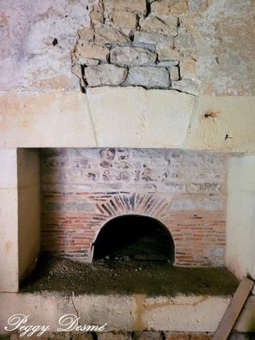 Propriété à vendre 14 pièces SAINT JEAN D'ANGELY (17) - Ancien domaine viticole, Bâti de 940 m2, Maison de maître, Dépendances.