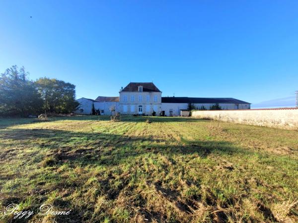 Propriété à vendre 14 pièces SAINT JEAN D'ANGELY (17) - Ancien domaine viticole, Bâti de 940 m2, Maison de maître, Dépendances.