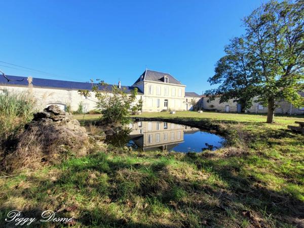 Propriété à vendre 14 pièces SAINT JEAN D'ANGELY (17) - Ancien domaine viticole, Bâti de 940 m2, Maison de maître, Dépendances.