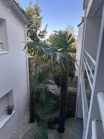 Achat - Appartement Vannes 56000 4 pièces 100 m 2
