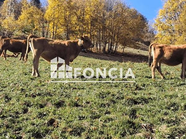 À vendre Maison 8 pièces 104.08 m² - Doucy 73260