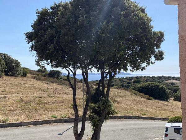 Vente                                                      Appartement
                        
                     1 pièces                      18 m2                     à Lumio