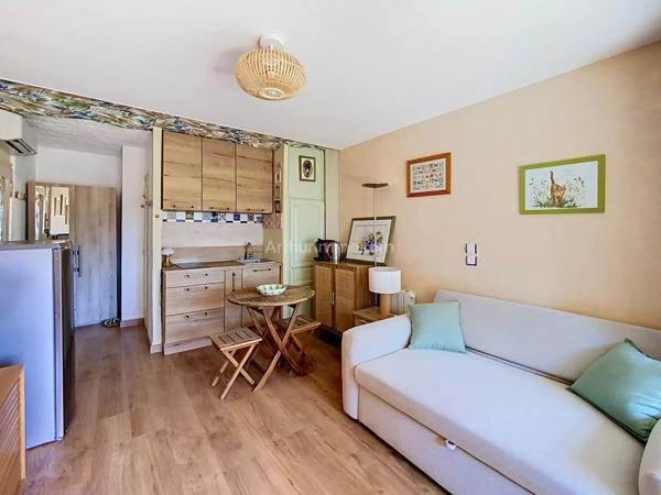 Vente                                                      Appartement
                        
                     1 pièces                      18 m2                     à Lumio