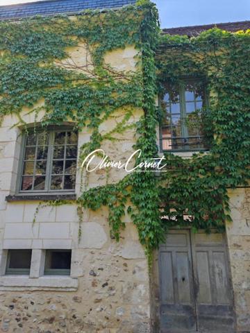 Maison Nogent Le Rotrou 11 pièces 298 m2