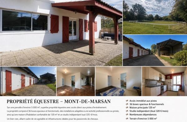 ECURIE 36 BOXES, HANGAR DE STOCKAGE, MAISONS D'HABITATION + T2