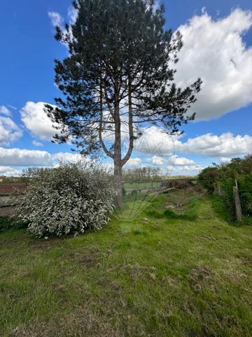 Maison  en vente - Pas-de-Calais - 62