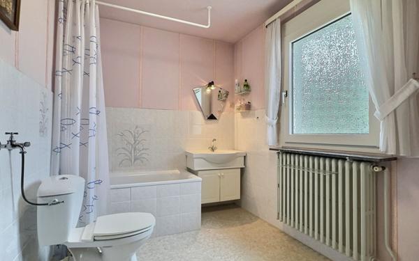 Maison à vendre    7 pièces •  Forbach