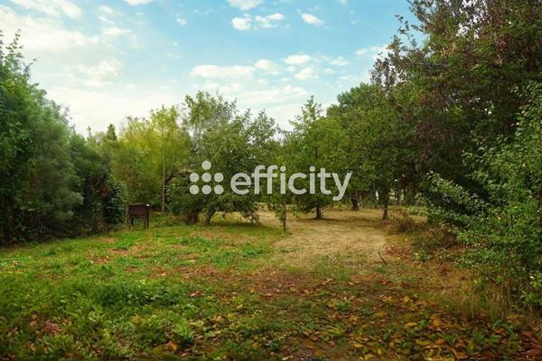 Terrain - 1274 m²