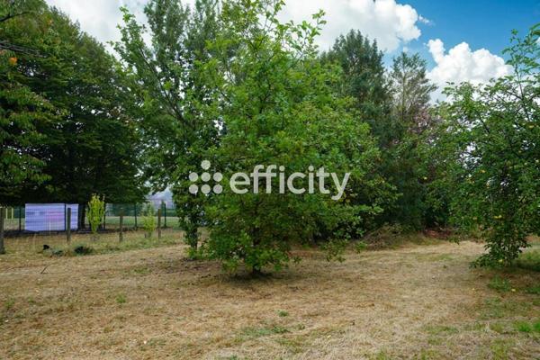 Terrain - 1274 m²