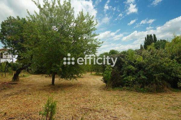 Terrain - 1274 m²