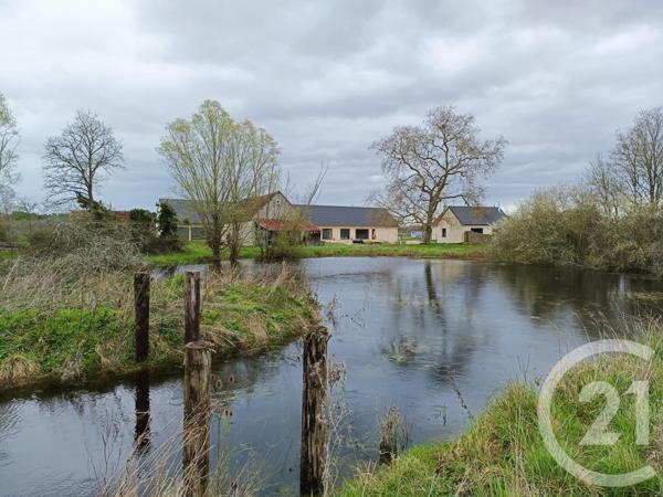 Maison à vendre  9 pièces - 607 m2 PRUNIERS EN SOLOGNE - 41