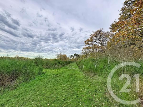 Maison à vendre  9 pièces - 607 m2 PRUNIERS EN SOLOGNE - 41