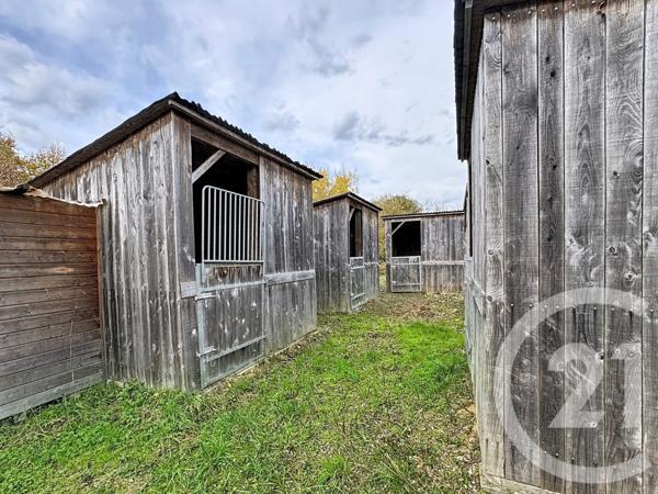 Maison à vendre  9 pièces - 607 m2 PRUNIERS EN SOLOGNE - 41