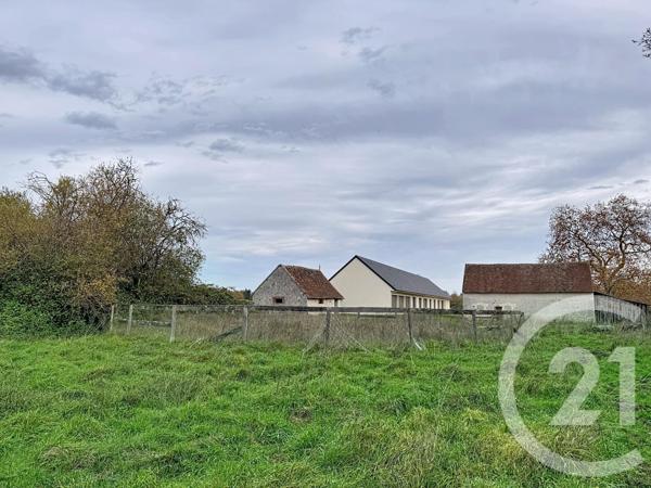 Maison à vendre  9 pièces - 607 m2 PRUNIERS EN SOLOGNE - 41