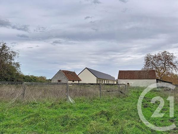Maison à vendre  9 pièces - 607 m2 PRUNIERS EN SOLOGNE - 41