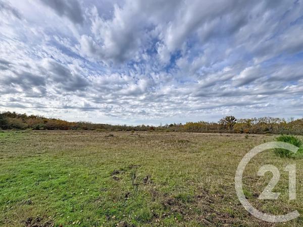 Maison à vendre  9 pièces - 607 m2 PRUNIERS EN SOLOGNE - 41