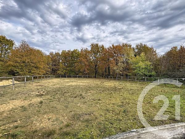 Maison à vendre  9 pièces - 607 m2 PRUNIERS EN SOLOGNE - 41