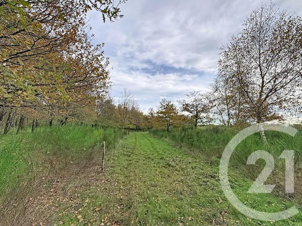 Maison à vendre  9 pièces - 607 m2 PRUNIERS EN SOLOGNE - 41
