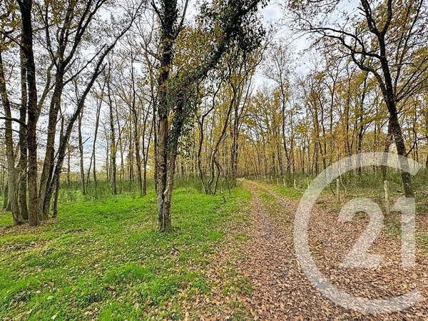 Maison à vendre  9 pièces - 607 m2 PRUNIERS EN SOLOGNE - 41