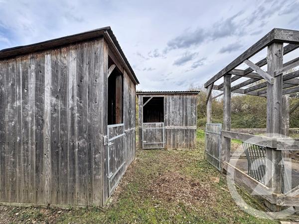 Maison à vendre  9 pièces - 607 m2 PRUNIERS EN SOLOGNE - 41