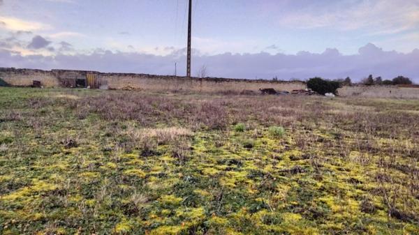 Terrain constructible Neuville 940m2