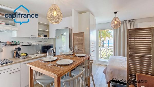 Charmant appartement 25 m2 rénové et meublé