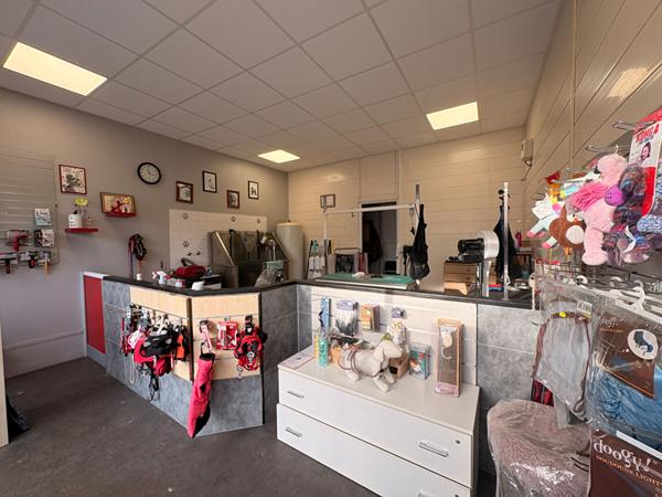 Local commercial  - Le Mans - 31 m²