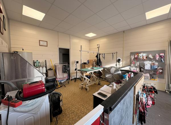 Local commercial  - Le Mans - 31 m²