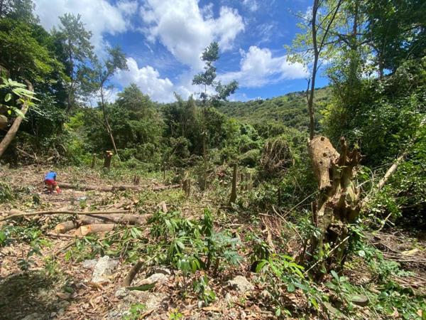 Terrain à vendre ()