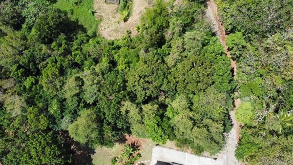 Terrain à vendre ()