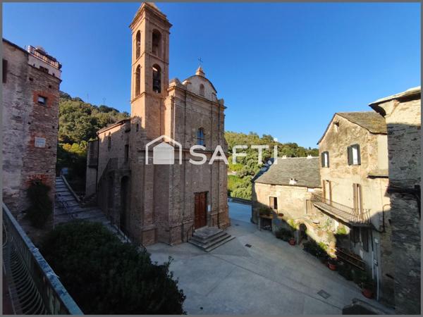 NID DOUILLET AU VILLAGE